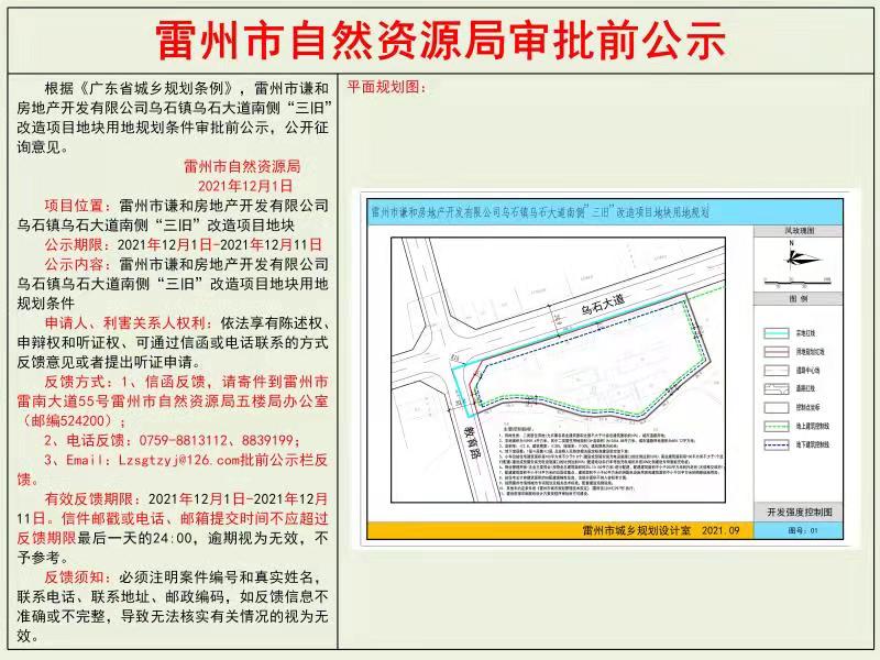 雷州市謙和房地產(chǎn)開發(fā)有限公司烏石鎮(zhèn)烏石大道南側(cè)“三舊”改造項(xiàng)目地塊用地規(guī)劃條件審批前公示.jpg