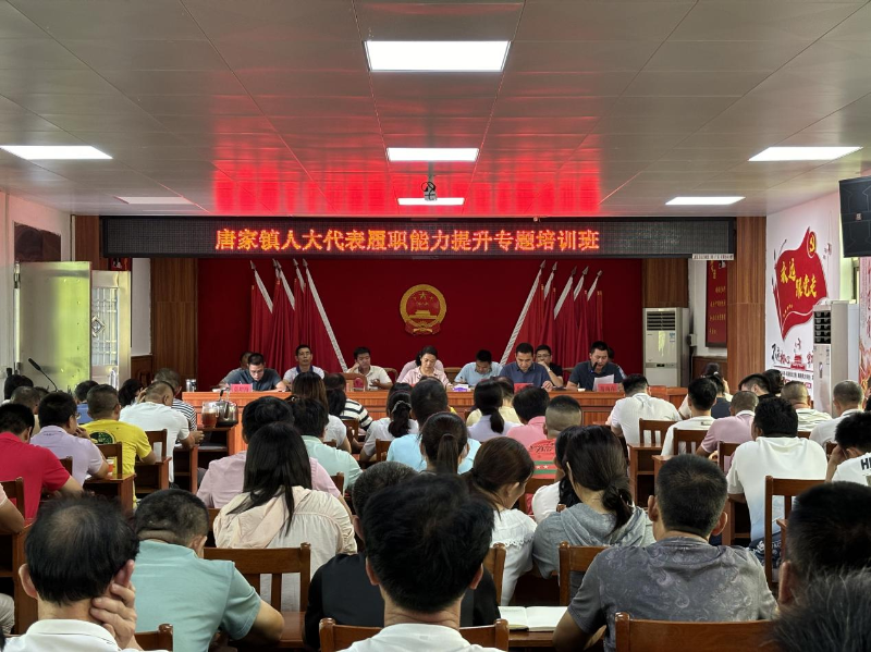 唐家鎮(zhèn)人大組織召開(kāi)人大代表履職能力提升專題培訓(xùn)班.png