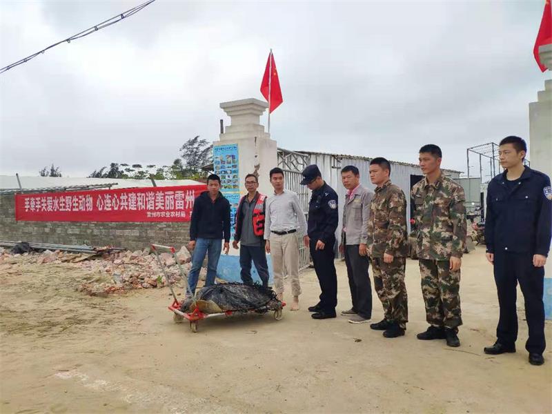 準備移交給野生動物保護救護基地.jpg
