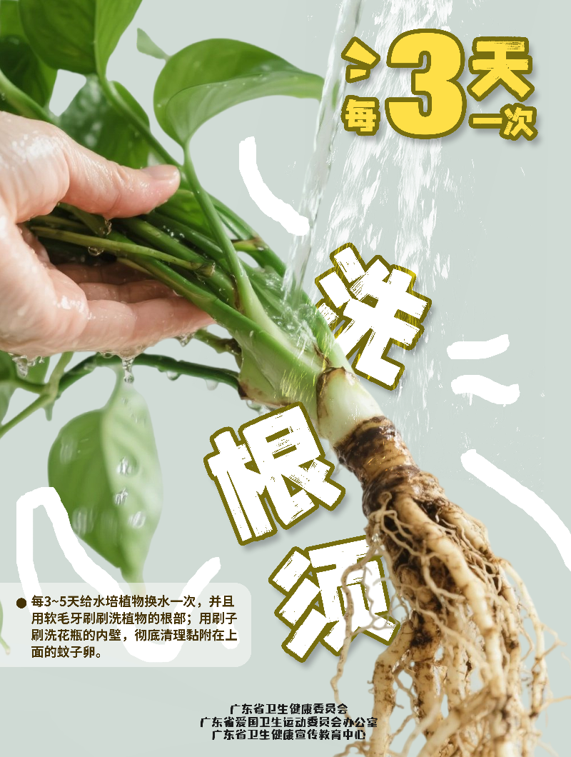 洗根須(1).jpg